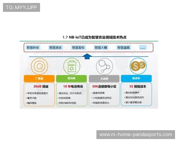 由单一指令传递迈向双向交互感知模式 本年度基层反馈链路已全线打通 由单一指令传递迈向双向交互感知模式 本年度基层反馈链路已全线打通